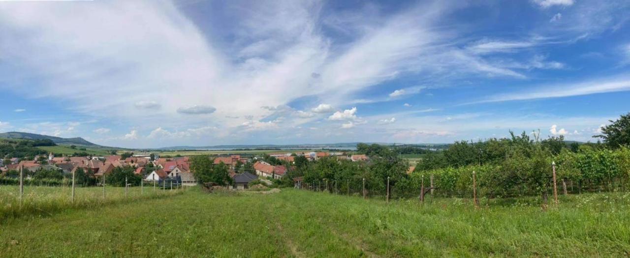 Prazdninovy Dum Na Palave S Vinnym Sklepem Milovice  Buitenkant foto